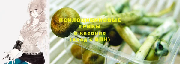 герыч Арсеньев