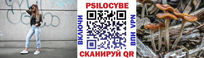 Псилоцибиновые грибы Psilocybe  Протвино 